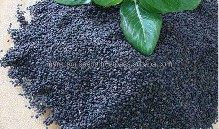 
SIMSIM SEEDS FOR Afghanistan 