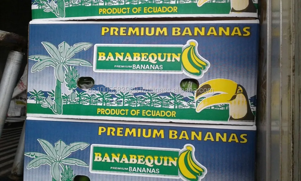 GREEN and FRESH BANANAS!!!