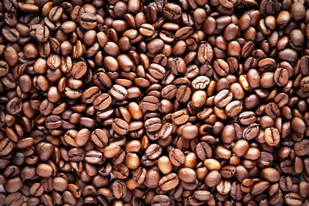  Популярные кофейные зерна robusta во Вьетнаме-оптовая продажа кофейных зерен экспортируется в США ЕС Корею ОАЭ-вьетнамский зеленый