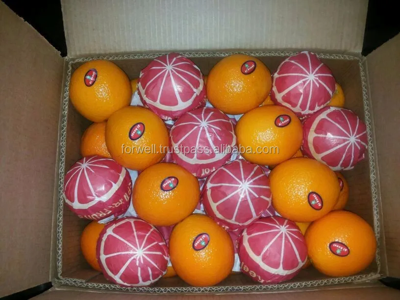 big size orange with high quality and good price with different package