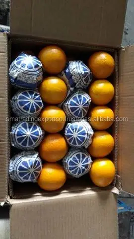 
Egyptian Valencia orange 