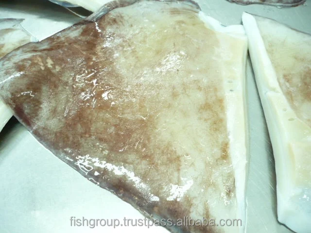 Best Quality No Preservatives 24 months Shelf Life Frozen Calamari Giant Squid Wing Seafood Exporter