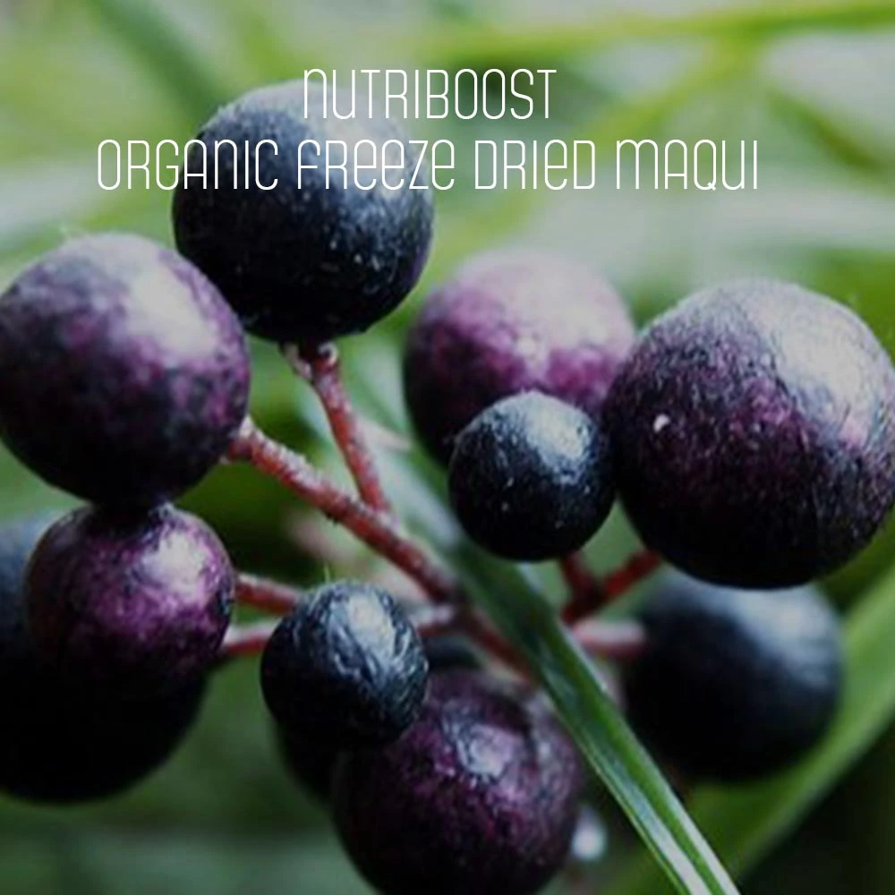 
Organic Maqui Powder Capsules 