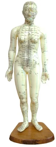 Manual Hand Needle Injector with magnet blood gathering made in Korea ( Pipe ) (available OEM order)