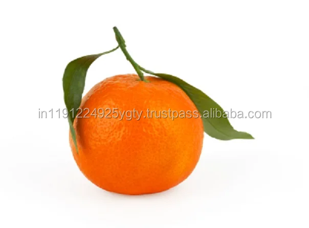 100 Pure Natural OEM ODM Tangerine Essential Oil For Aromatherapy Spa Massage Health At Wholesale Bulk Retail