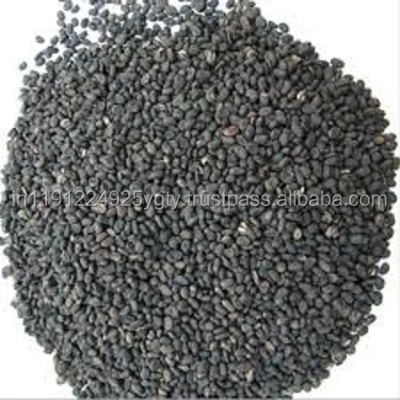 100% Pure Natural Psoralea Corylifolia Essential Oil, Babchi Oil, GMP, ISO Certified