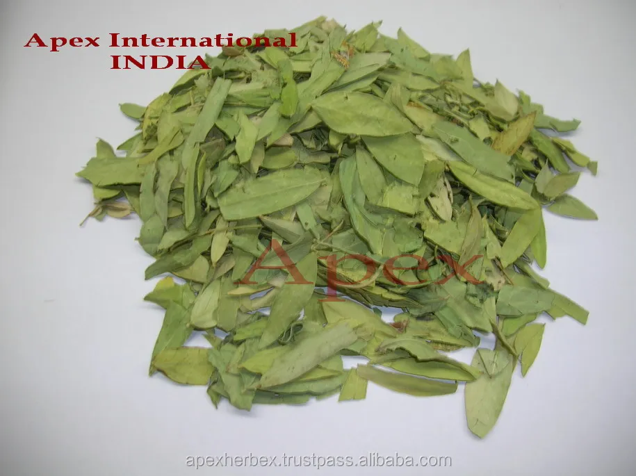 Organic Senna Leaves Senna Leaves Powder