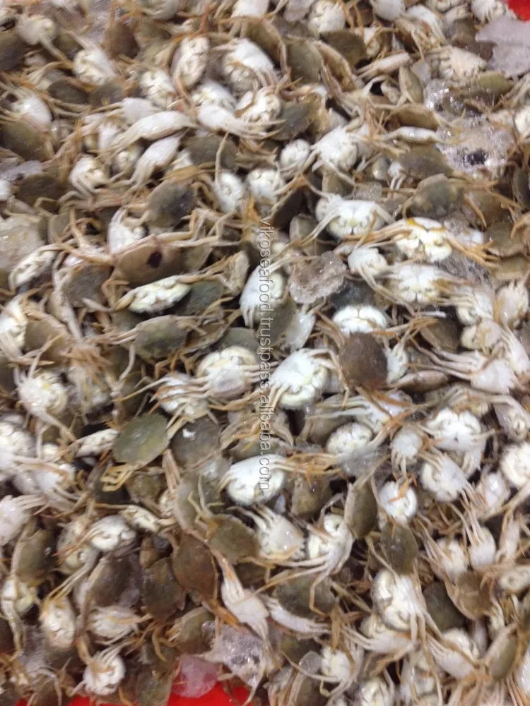 HIGH QUALITY - BABY CRAB