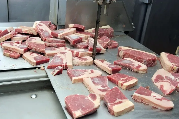 Highest quatity steal Food band saw blade