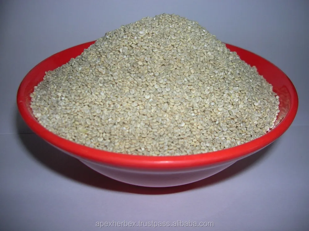 Quinoa  Chenopodium quinoa high quality cleaned Organic