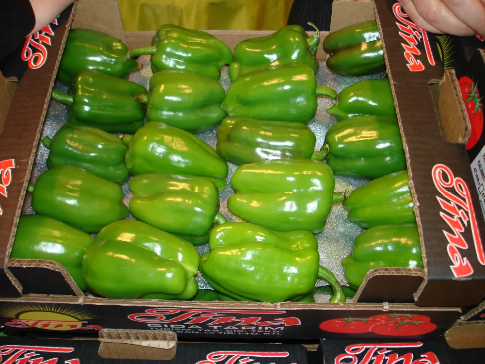 
fresh organic capsicum orange/red/yellow 