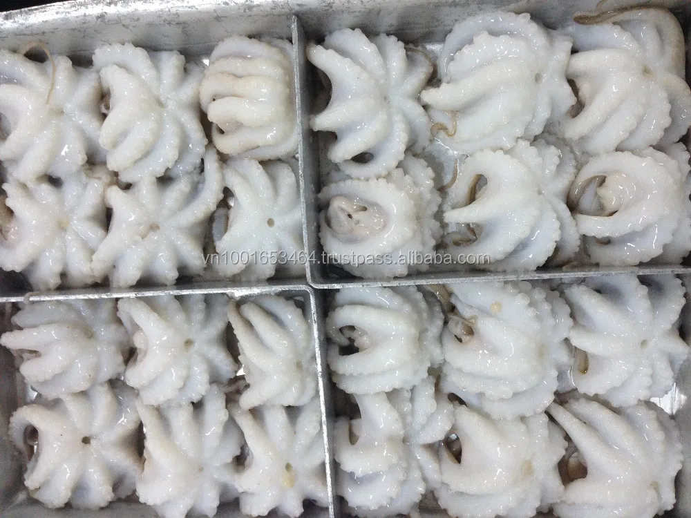 
Viet Nam Frozen Baby Octopus/Baby Octopus 