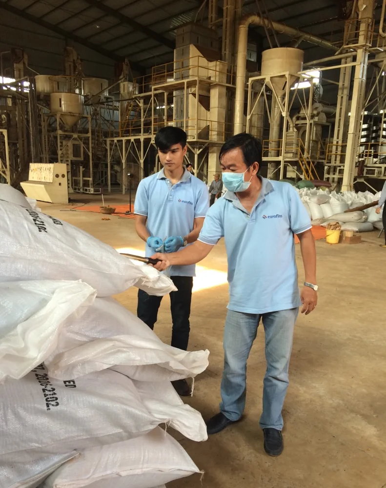 VIETNAM BLACK PEPPER 500G/L, 550G/L, CLEANED, 570G/L ASTA HIGH QUALITY FROM DIRECT SUPPLIER FACTORY