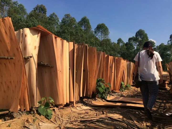 
Eucalyptus Core veneer 1270*640mm 1.7mm with good price 