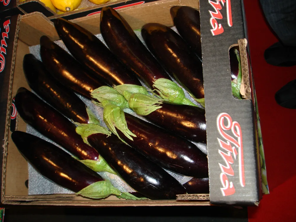 
fresh eggplant for sale 