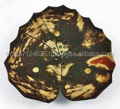 Coconut shell with Fruit and Flower shape soap gift set