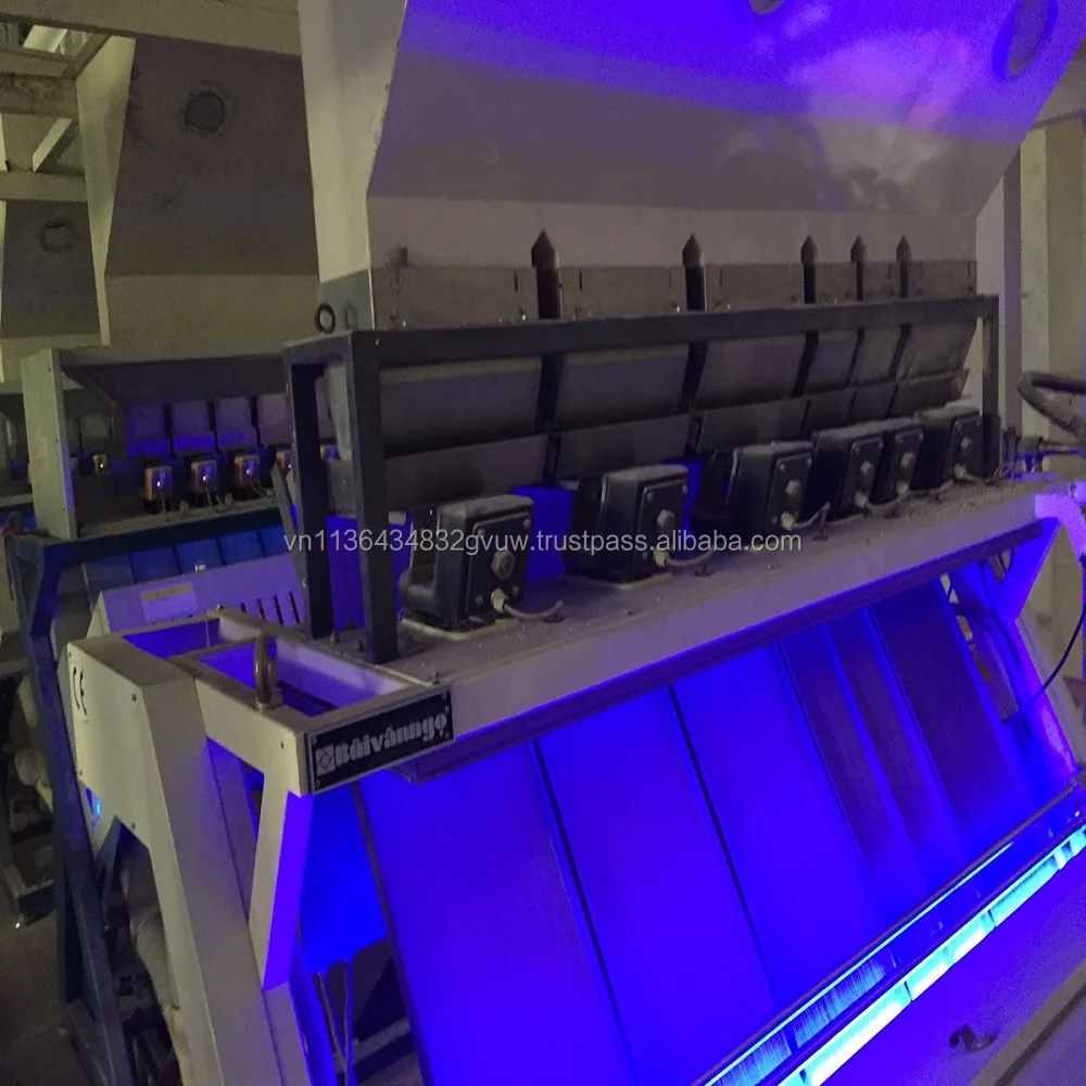 NEWEST CROP VIETNAM 10% BROKEN GLUTINOUS RICE WITH GRADE TOP