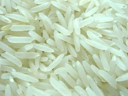 
Golden Basmati rice exporters 
