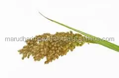 
BEST INDIAN QUINOA 