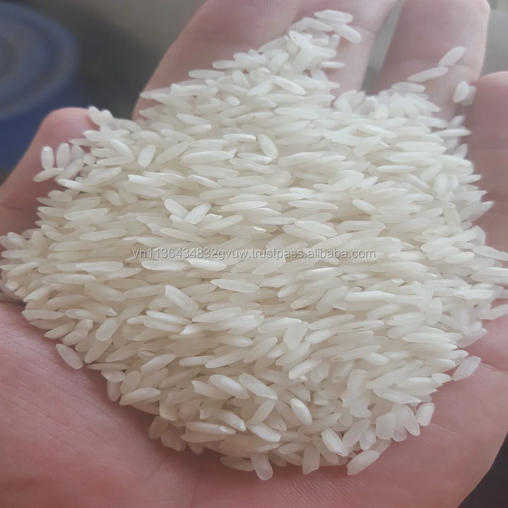 
CHEAPEST PRICE WHOLESALE LONG WHITE RICE 5% BROKEN 
