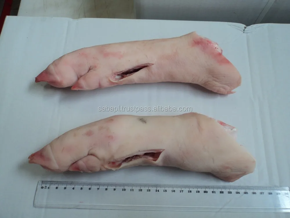 Wholesale Frozen Pork Front  Hind Feet Pig Leg For Sale