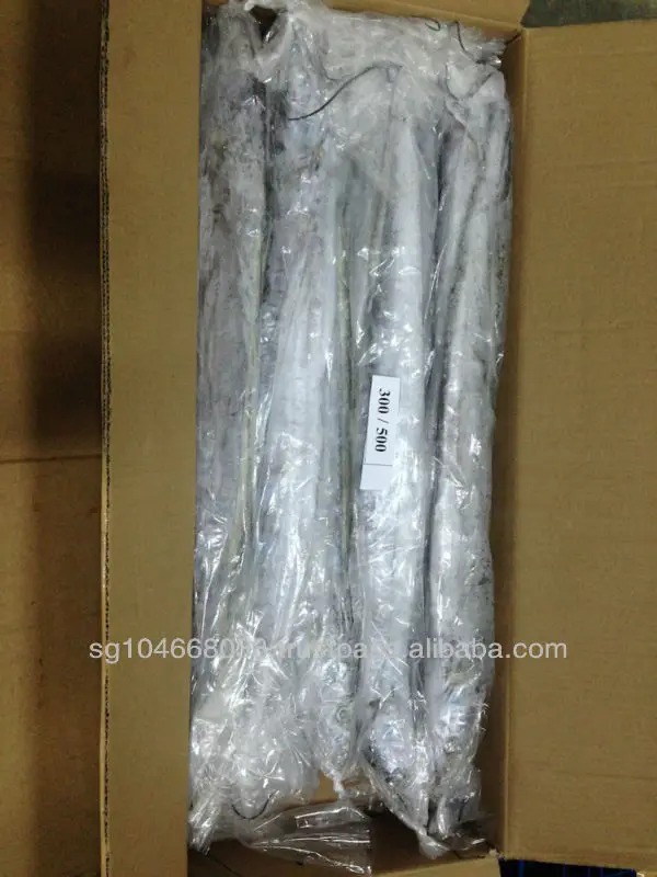 Frozen Fish Fresh Tilapia Supplier Block Bulk Style Packaging Package Weight Lbs Shelf Origin Latin Frozen Ribbonfish Whole Part