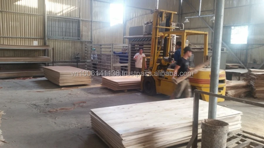 
ALIBABA VIETNAM MANUFACTURER DIRECTLY SUPPLY PLYWOOD/PACKING PLYWOOD 