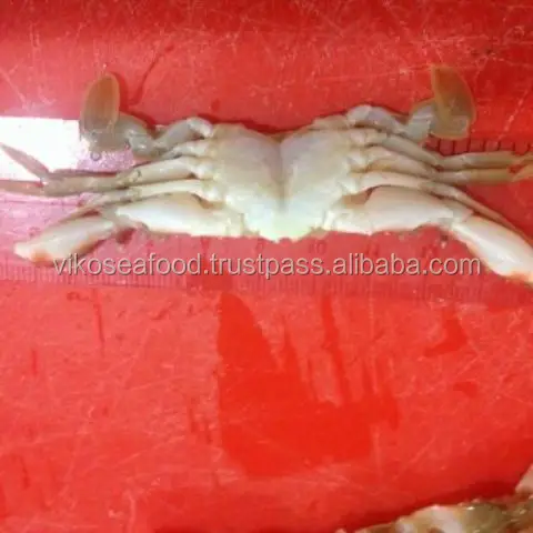 FROZEN WHOLE CLEANED BABY CRAB