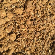 
Organic Animal Feed Cotton Seed Meal Bulk exporter 