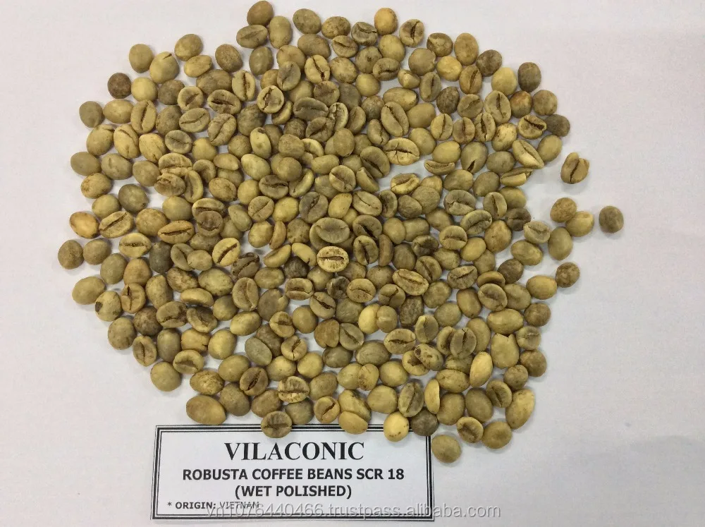 Вьетнамские зеленые кофейные зерна Robusta + 84 972678053 (whatsapp)