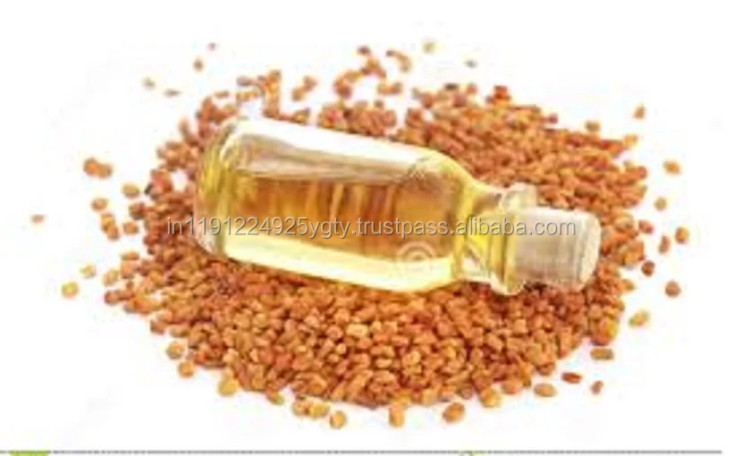 GMP, ISO Certified Pure Fenugreek Essential Oil At Wholesale Price From India