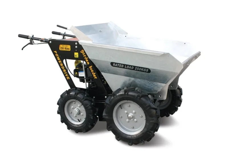 Mini farm tractor Wheel loader with CE and EPA ANT BY250