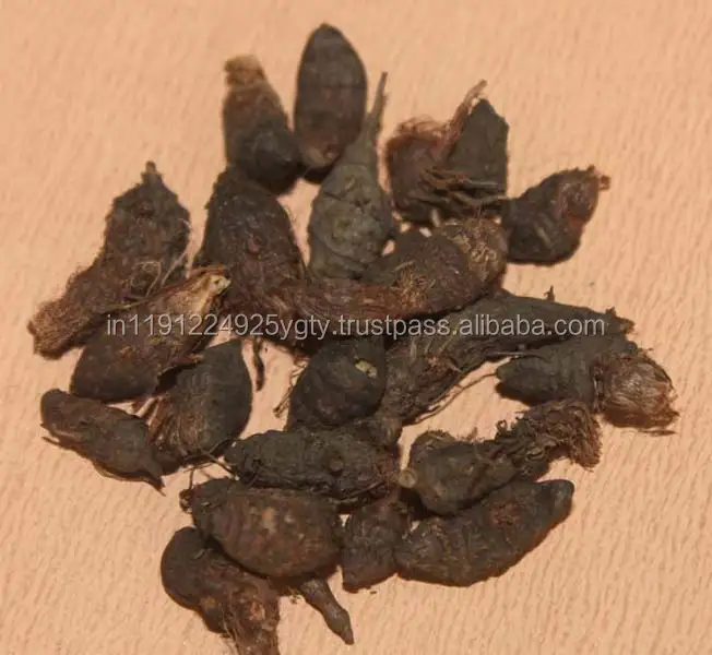 100% Pure High Quality Nagarmotha Essential Oil Nut Grass Oil Cypriol Oil From India