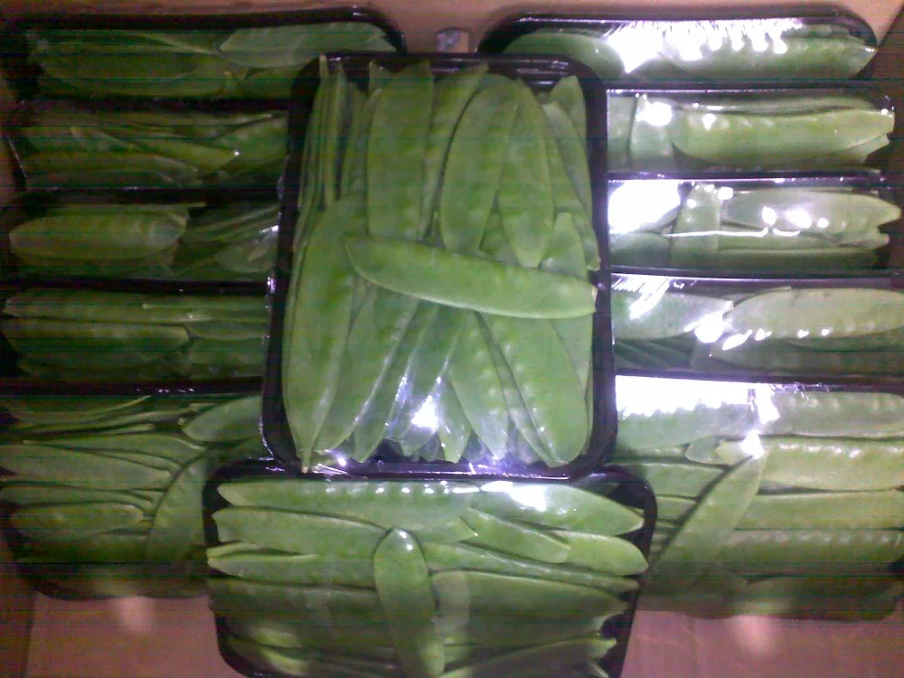 
Egyptian fresh peas 