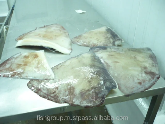 Best Quality No Preservatives 24 months Shelf Life Frozen Calamari Giant Squid Wing Seafood Exporter