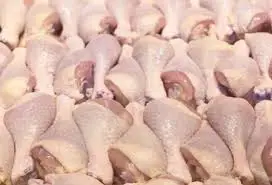Frozen Chicken Drumsticks for sale