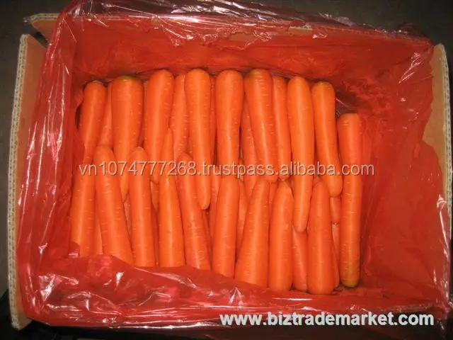 Лучшая цена с высококачественной свежей моркови из Вьетнама