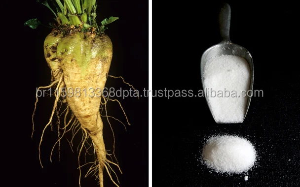 HIGH QUALITY WHITE SUGAR ICUMSA 45 READY FOR SUPPLY