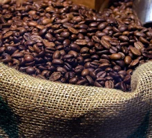 
Premium Robusta Roasted Coffee Bean Coffee with Best Price COMMON 