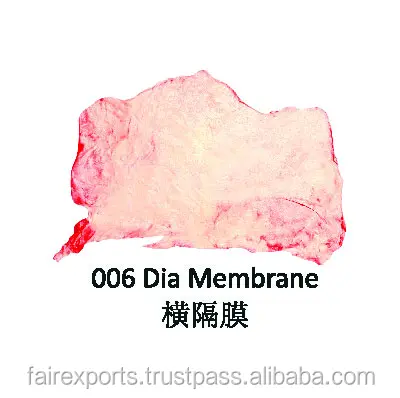 Замороженный мешок, Магнитный Корпус, стильная упаковка для хранения, органическое мясо, говядина