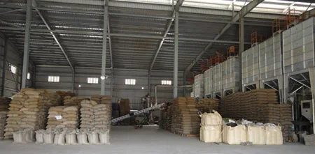  Кофе в зернах ROBUSTA вьетнамское производство