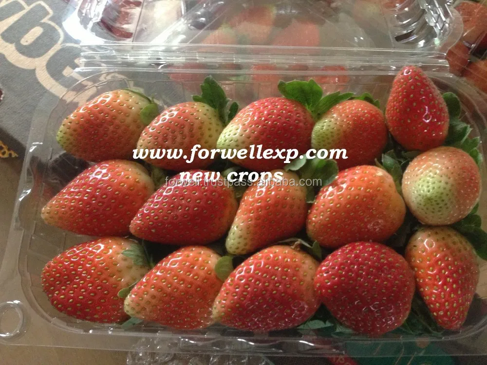  Свежая клубника высокого качества