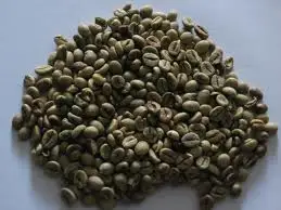 Arabica and robusta coffee from Vietnam for EU market