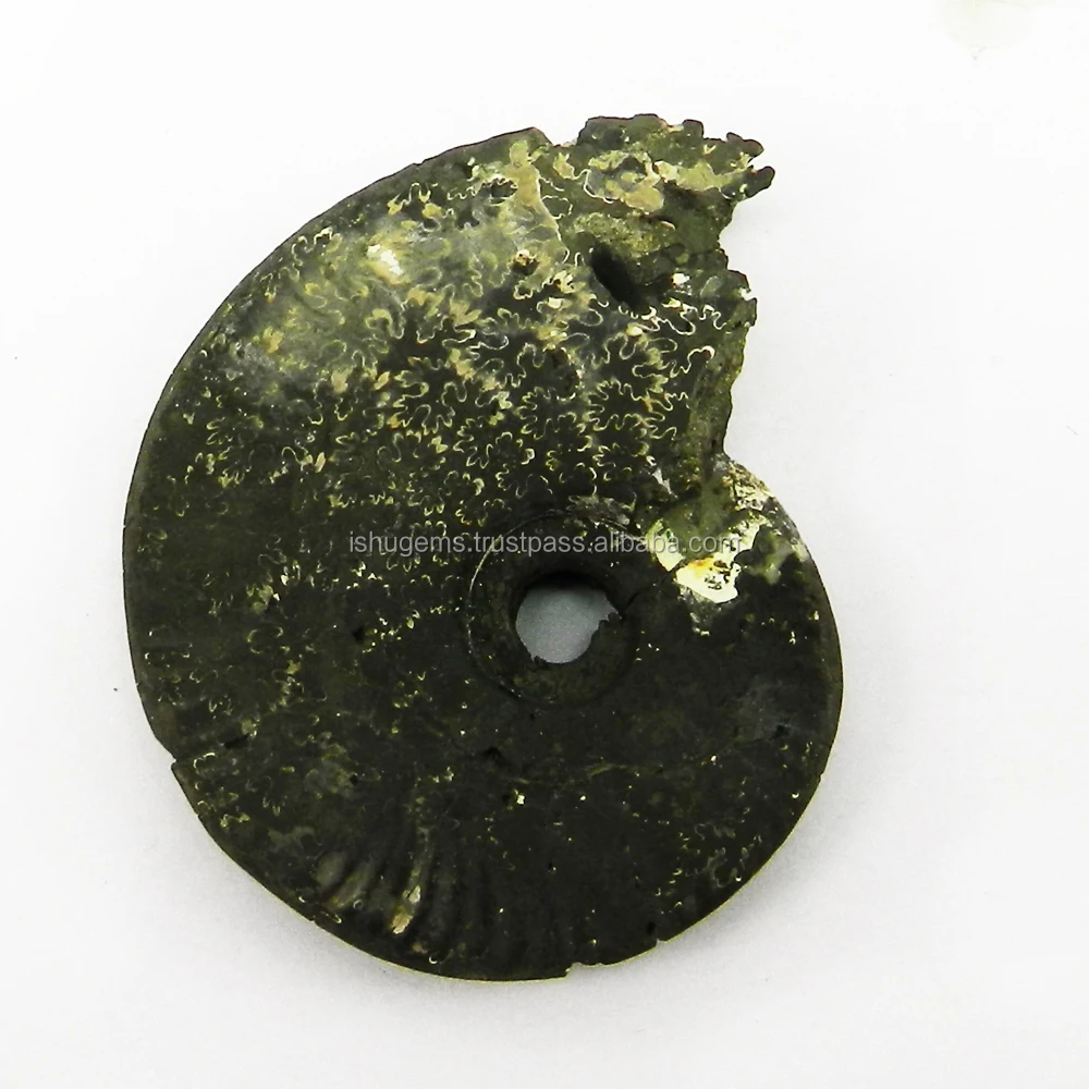Iridescent Russian Natural Fools Gold Pyrite Ammonite 5.0x3.8cm Fancy Uneven 22.65 Gms Loose Gemstone IG3279