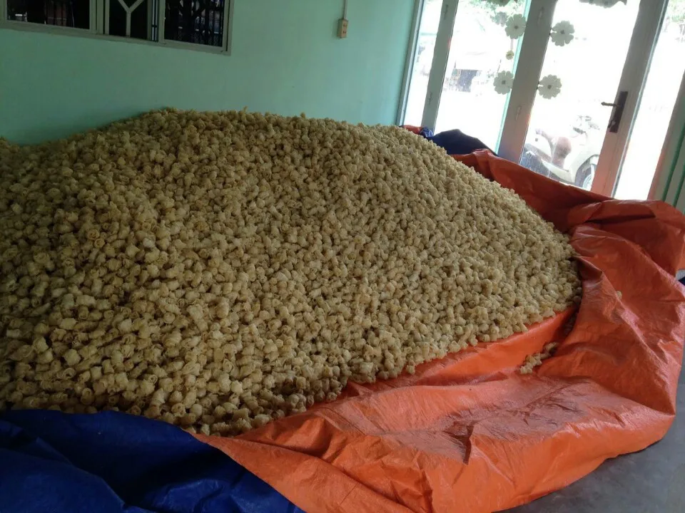 
Dry FISH MAWS TOP QUALITY ORIGIN VIETNAM Bulk Piece HACCP 