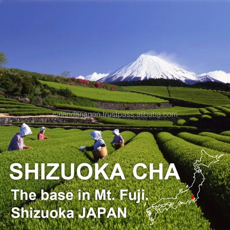 Popular and Delicious tea bag packaging machine with High quality made in Japan