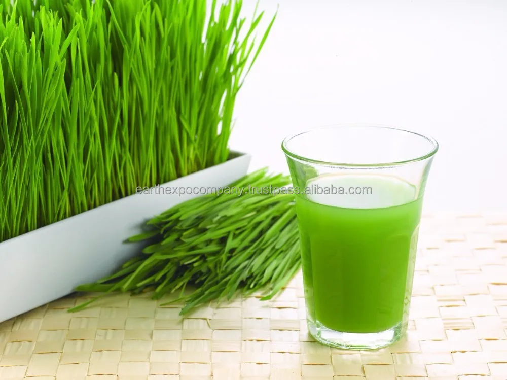 
Green wheat grass juice 