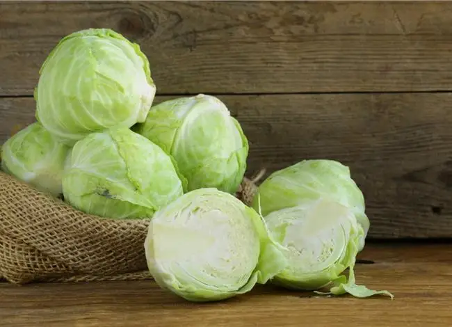 cabbage-and-weight-loss