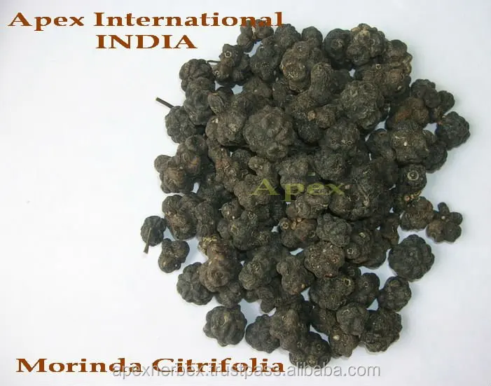 Morinda Citrifolia Noni Fruits dried Organic Apex India
