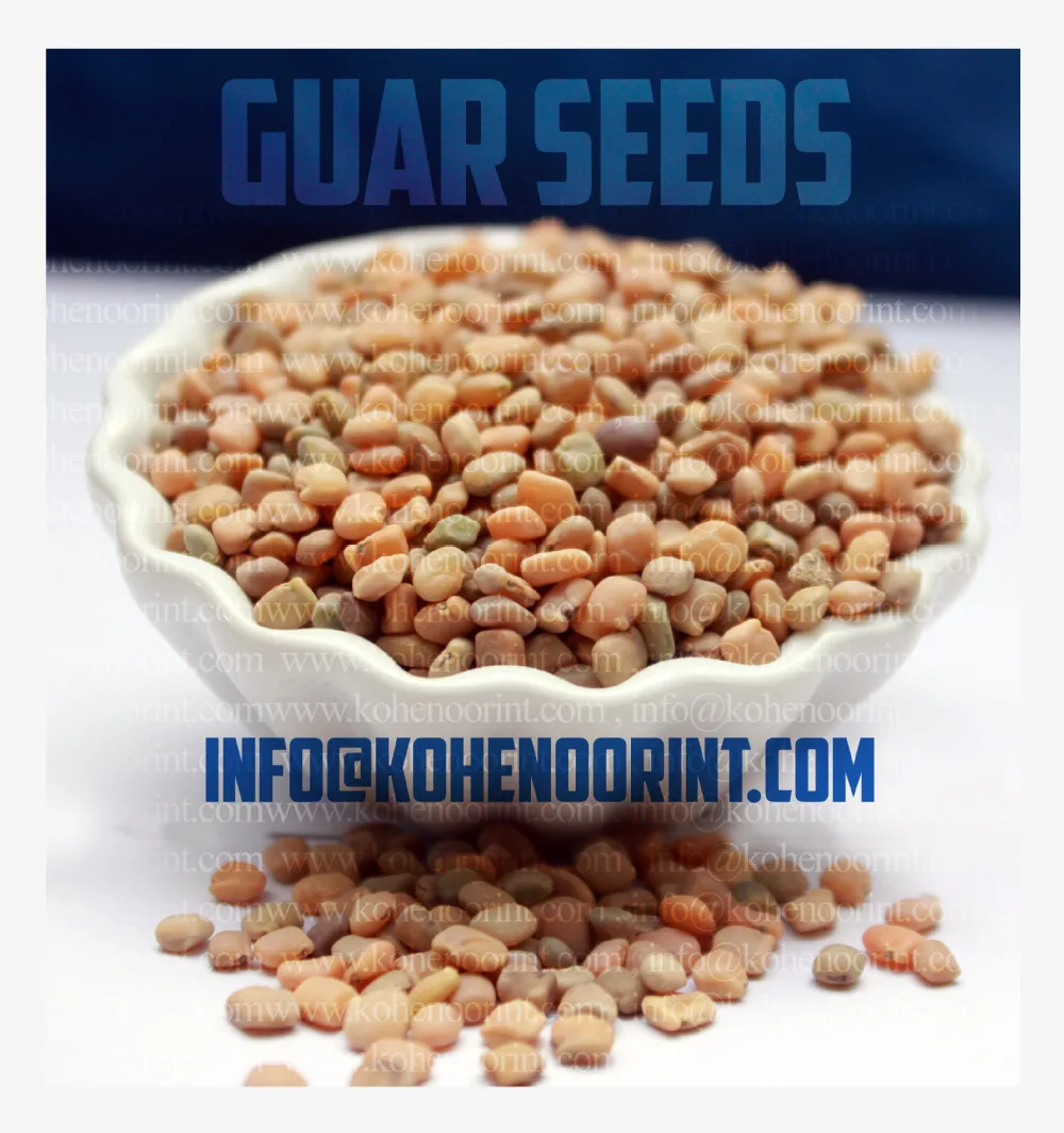 Guar Seeds / Guar Beans
